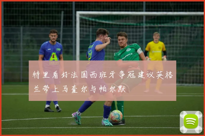 特里看好法国西班牙争冠建议英格兰带上马奎尔与帕尔默
