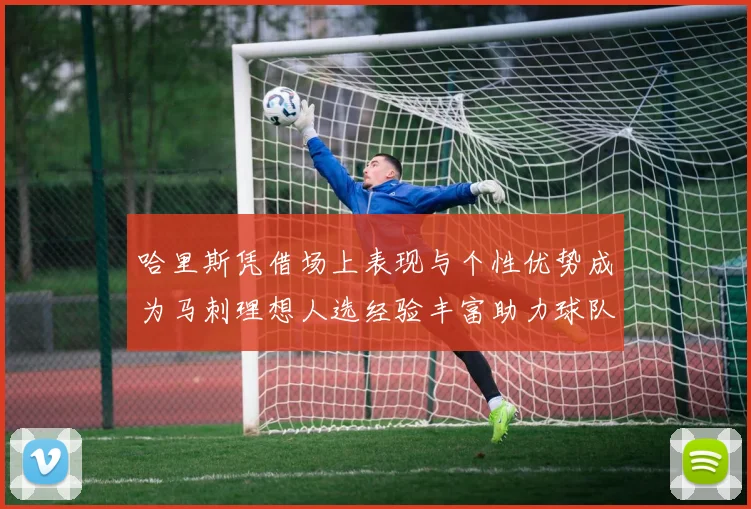 哈里斯凭借场上表现与个性优势成为马刺理想人选经验丰富助力球队发展